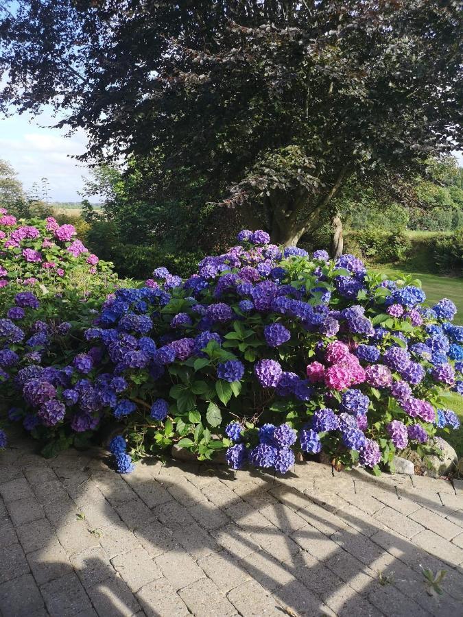 Hvirrekaergaard, Midt I Naturen. Hirtshals Exterior foto